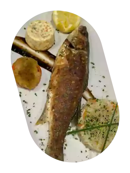 Le Sun 7 - Restaurant La Grande-Motte - bien manger LA GRANDE-MOTTE